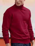 Herren Basic-Rollkragenpullover aus Baumwoll-Mix